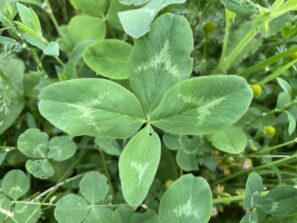 To, co vás čeká, může být mnohem lepší, než si v&nbsp;tuhle chvíli dovolíte představit