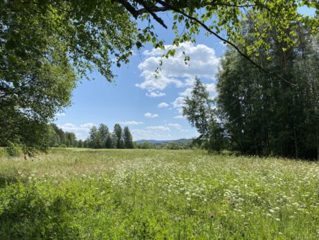 Stojí za&nbsp;to pracovat na&nbsp;změně