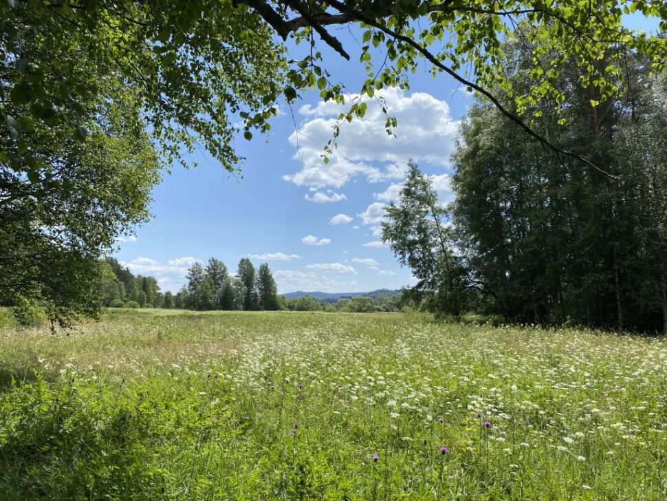 Stojí za&nbsp;to pracovat na&nbsp;změně