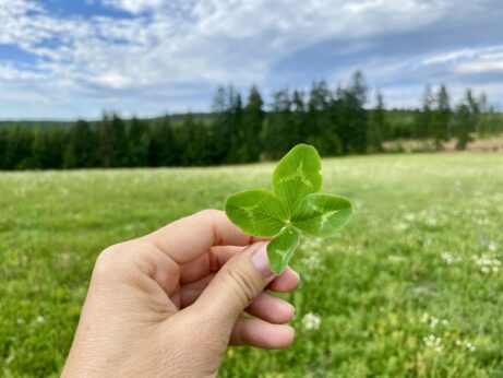 To, co vás čeká, může být mnohem lepší, než si v&nbsp;tuhle chvíli dovolíte představit