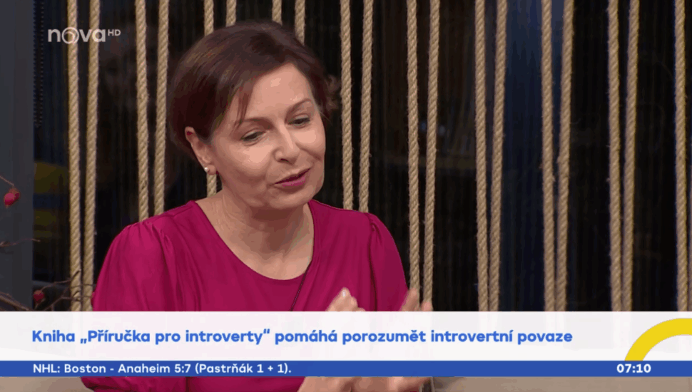 Příručka pro introverty